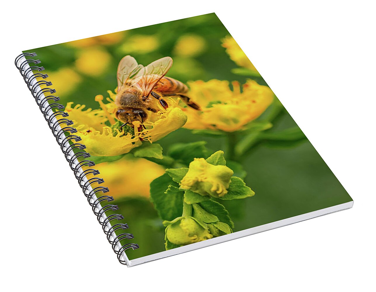 Landscape of a bee and yellow flowers - Spiral Notebook