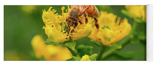 Landscape of a bee and yellow flowers - Yoga Mat
