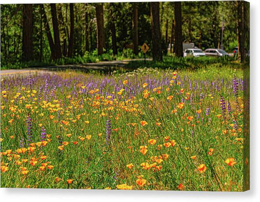 Landscape of Wild Flowers - Canvas Print