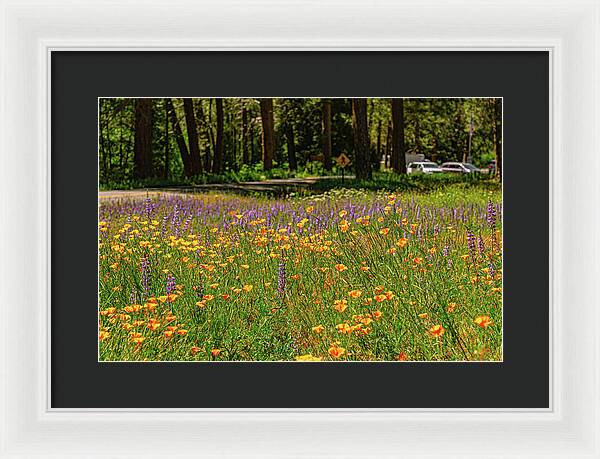 Landscape of Wild Flowers - Framed Print