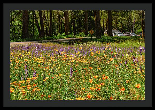Landscape of Wild Flowers - Framed Print