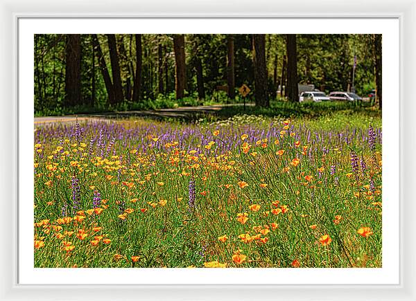 Landscape of Wild Flowers - Framed Print
