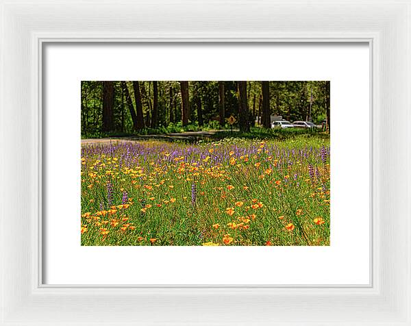 Landscape of Wild Flowers - Framed Print