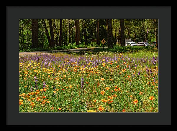 Landscape of Wild Flowers - Framed Print