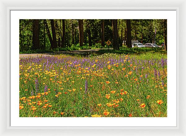 Landscape of Wild Flowers - Framed Print
