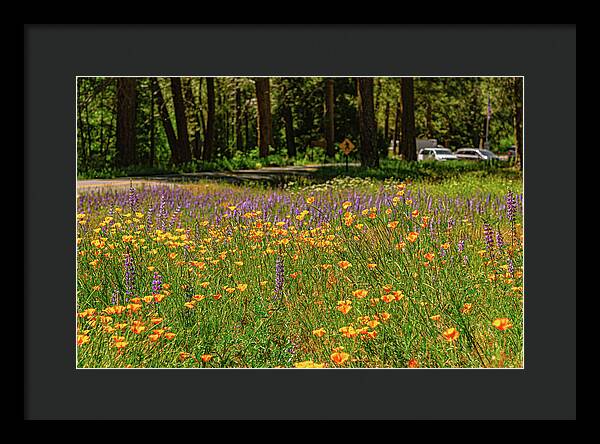 Landscape of Wild Flowers - Framed Print