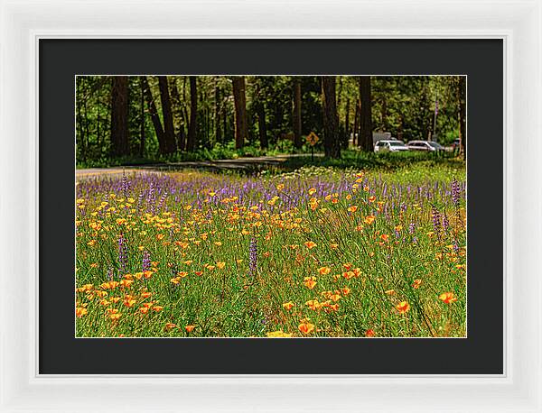 Landscape of Wild Flowers - Framed Print