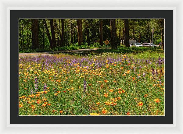 Landscape of Wild Flowers - Framed Print