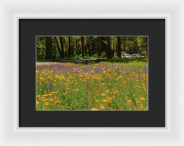 Landscape of Wild Flowers - Framed Print