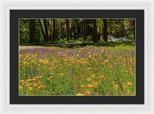 Landscape of Wild Flowers - Framed Print