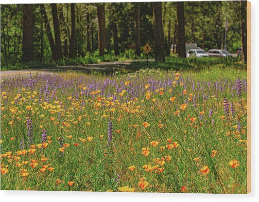Landscape of Wild Flowers - Wood Print