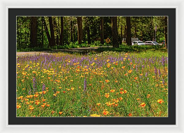 Landscape of Wild Flowers - Framed Print