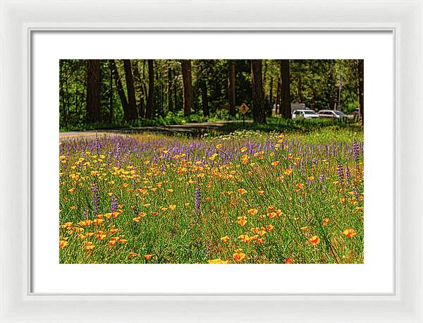 Landscape of Wild Flowers - Framed Print
