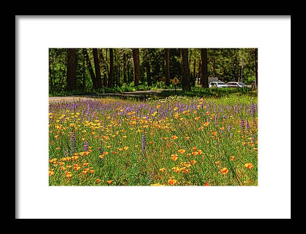 Landscape of Wild Flowers - Framed Print