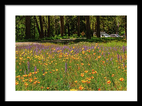 Landscape of Wild Flowers - Framed Print