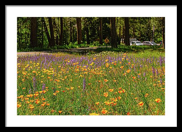 Landscape of Wild Flowers - Framed Print