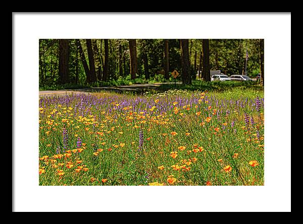 Landscape of Wild Flowers - Framed Print