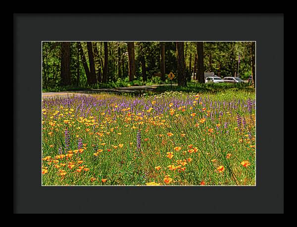 Landscape of Wild Flowers - Framed Print