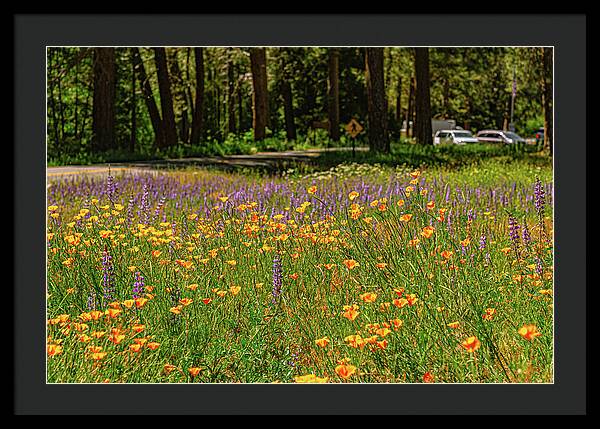 Landscape of Wild Flowers - Framed Print