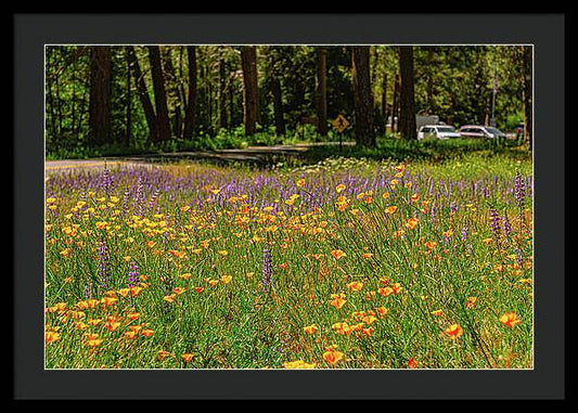 Landscape of Wild Flowers - Framed Print