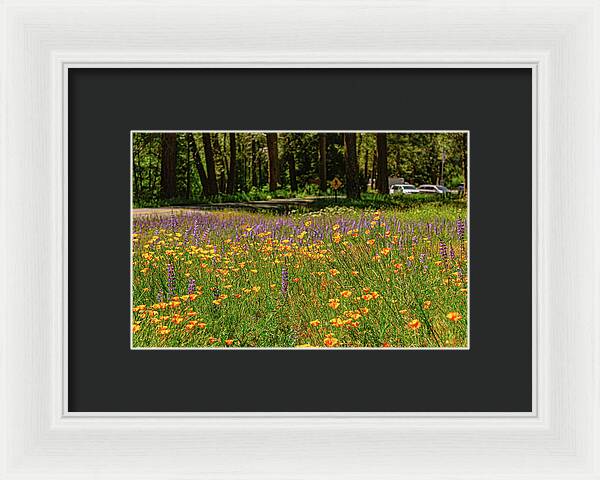 Landscape of Wild Flowers - Framed Print