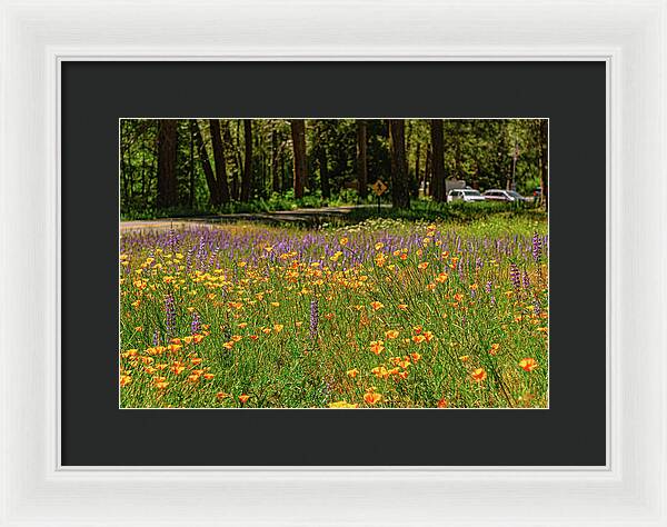 Landscape of Wild Flowers - Framed Print