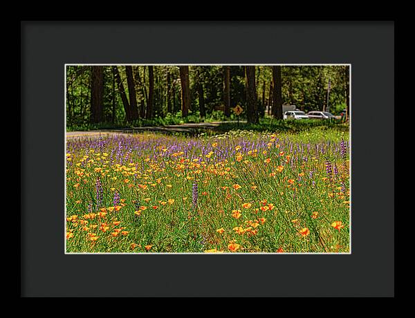 Landscape of Wild Flowers - Framed Print