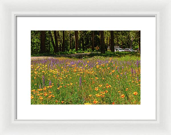 Landscape of Wild Flowers - Framed Print