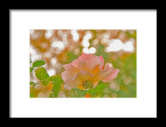 Light Pink Rose and Orbs - Framed Print