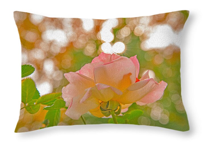 Light Pink Rose and Orbs - Throw Pillow