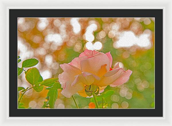 Light Pink Rose and Orbs - Framed Print
