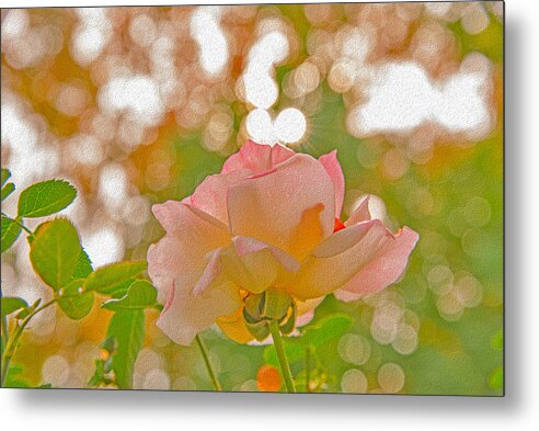 Light Pink Rose and Orbs - Metal Print