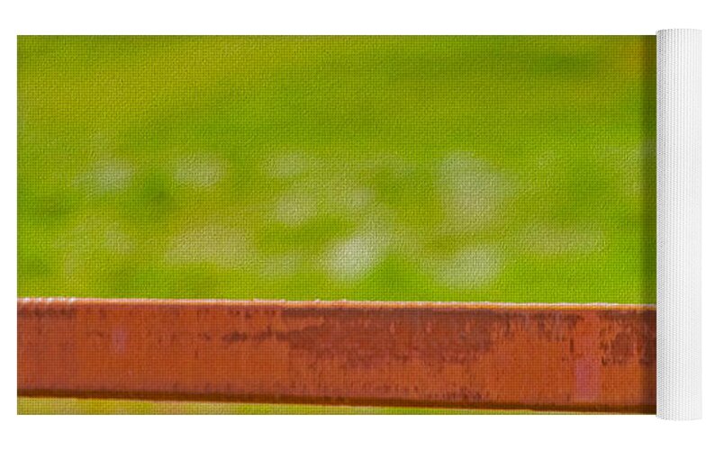 Lonely Small Bird Chilling on a Fence - Yoga Mat