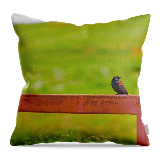 Lonely Small Bird Chilling on a Fence - Throw Pillow