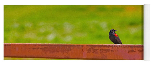 Lonely Small Bird Chilling on a Fence - Yoga Mat