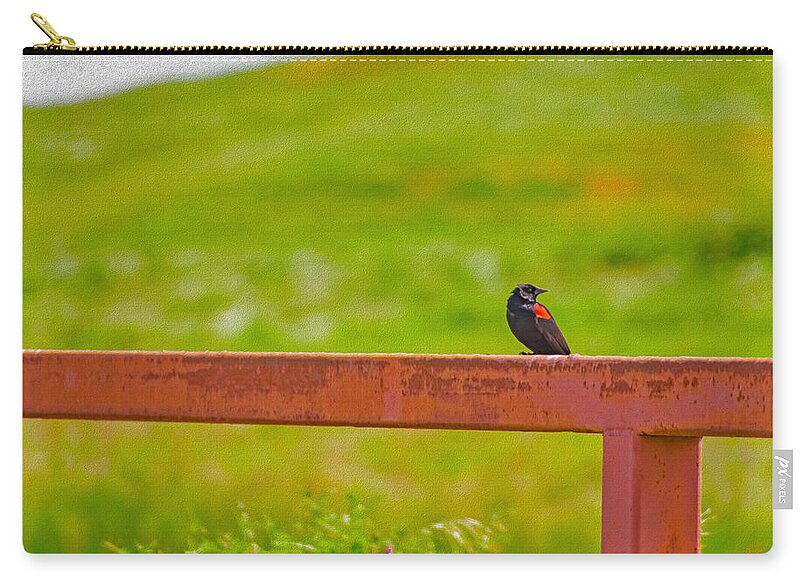 Lonely Small Bird Chilling on a Fence - Zip Pouch