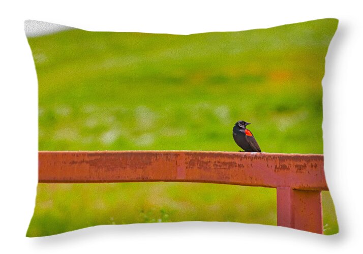 Lonely Small Bird Chilling on a Fence - Throw Pillow