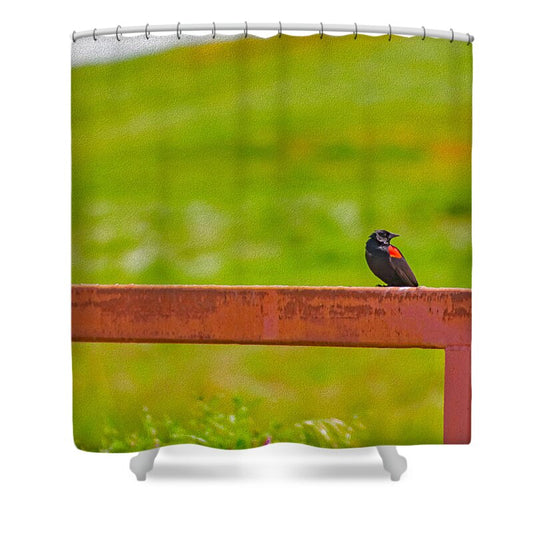 Lonely Small Bird Chilling on a Fence - Shower Curtain