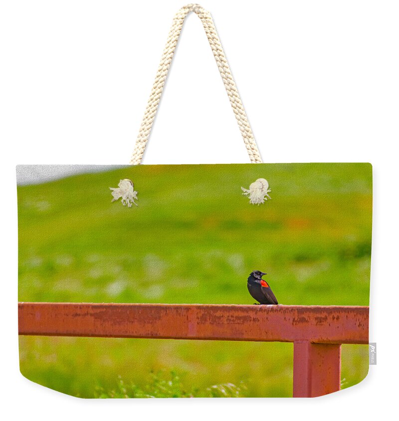 Lonely Small Bird Chilling on a Fence - Weekender Tote Bag