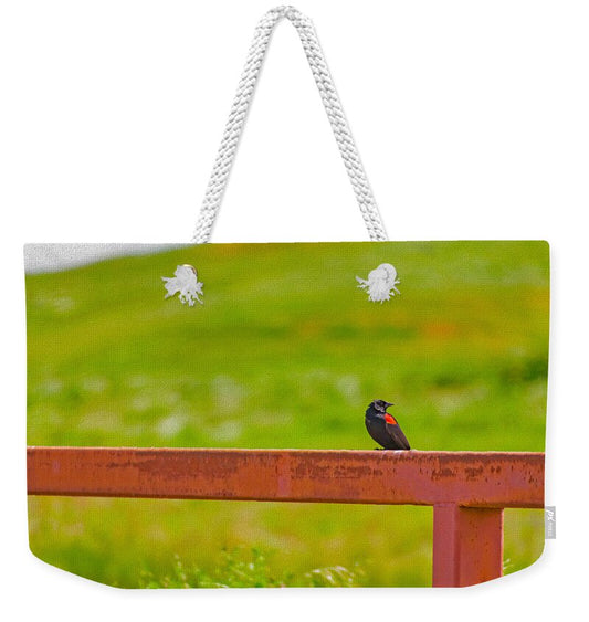 Lonely Small Bird Chilling on a Fence - Weekender Tote Bag