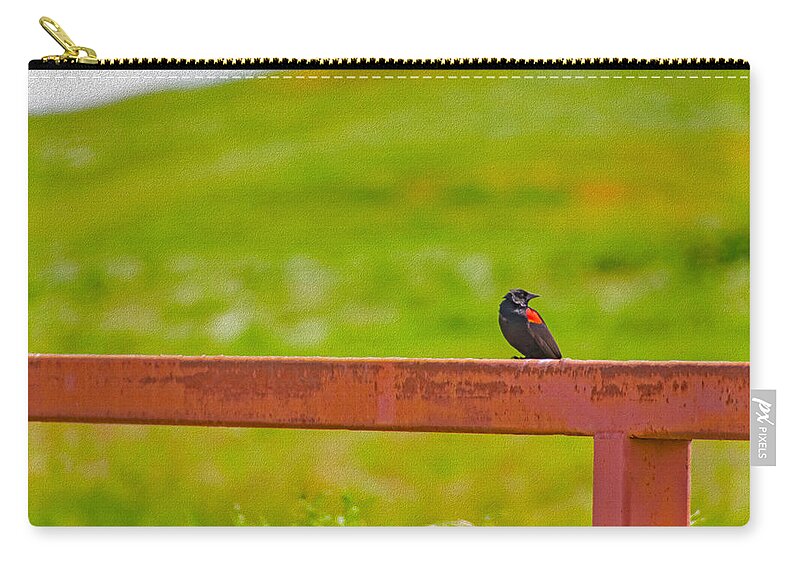 Lonely Small Bird Chilling on a Fence - Zip Pouch