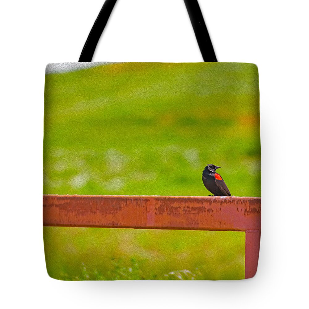 Lonely Small Bird Chilling on a Fence - Tote Bag