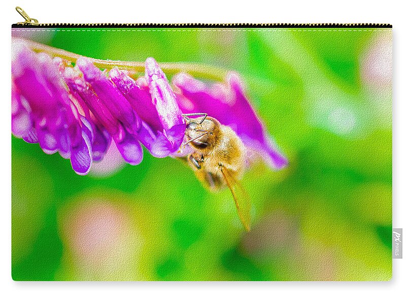 Macro Bee on a Purple Flower with Green Background - Zip Pouch