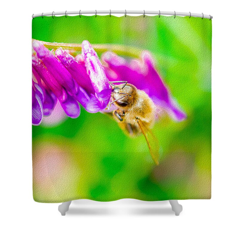 Macro Bee on a Purple Flower with Green Background - Shower Curtain