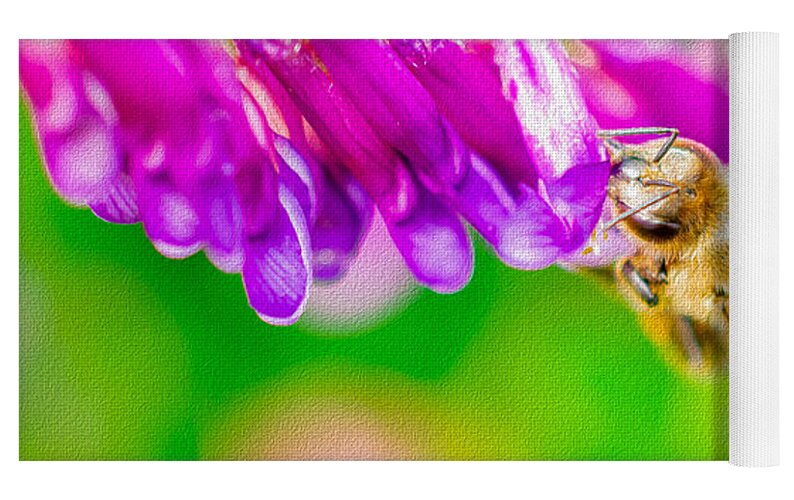 Macro Bee on a Purple Flower with Green Background - Yoga Mat