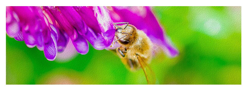 Macro Bee on a Purple Flower with Green Background - Yoga Mat