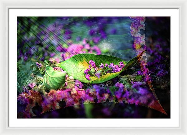 Magenta Petals Carefully Carried by a Leaf - Framed Print