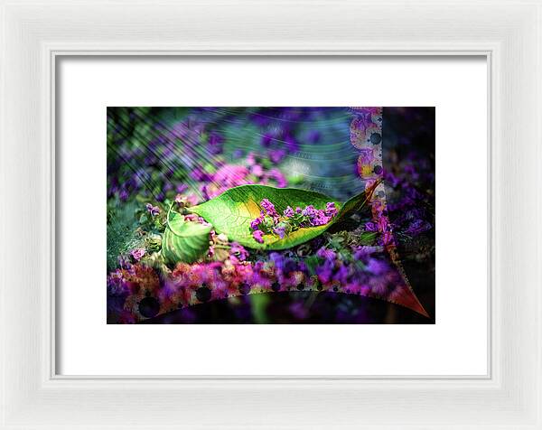 Magenta Petals Carefully Carried by a Leaf - Framed Print