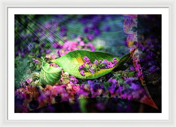 Magenta Petals Carefully Carried by a Leaf - Framed Print