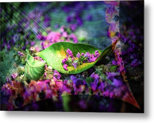 Magenta Petals Carefully Carried by a Leaf - Metal Print